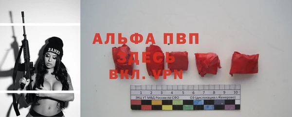 дживик Козельск