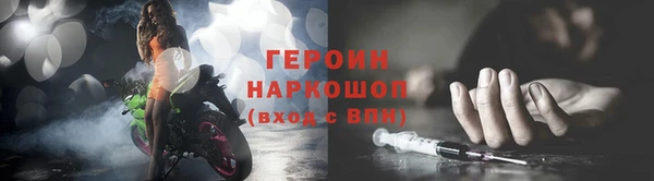 дживик Козельск