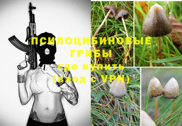 дживик Козельск
