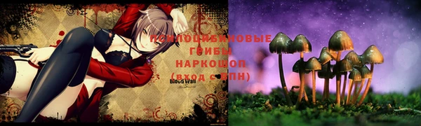 а пвп мука Козловка